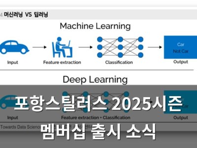 포항스틸러스 2025시즌 멤버십 출시 소식